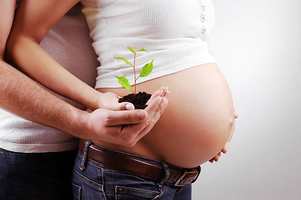 istockphoto 184322734 612x612 1